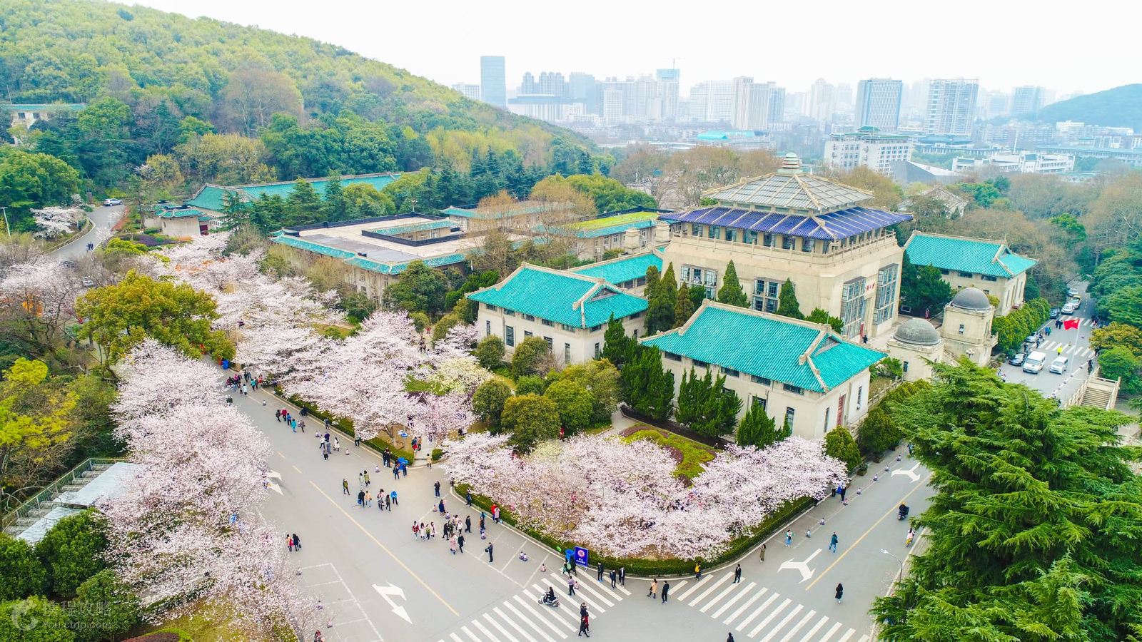 武汉大学