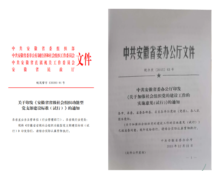 安徽省公共营养师协会开展关于社会组织功能型党支部建设的文件学习会(图1)
